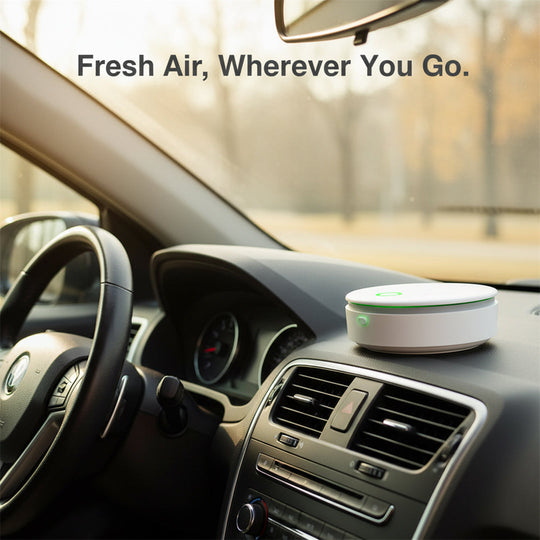 Air Purifier with Odor Removal and Rechargeable Battery