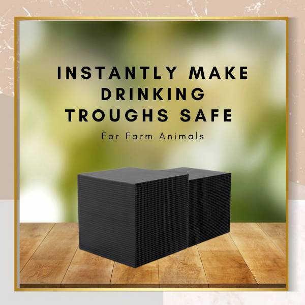 Bio Cube with Eco-Friendly Purification and Clear Water
