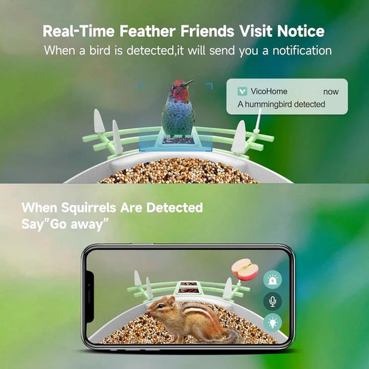 Bird Feeder with Camera and Night Vision