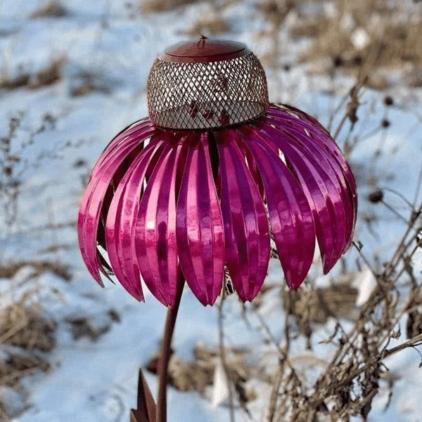 Bird Feeder with Metal Seed Dish and Outdoor Design