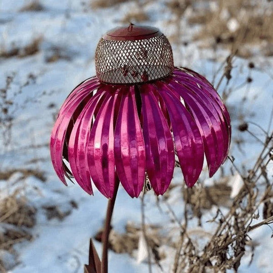 Bird Feeder with Metal Seed Dish and Outdoor Design