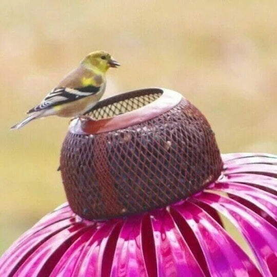 Bird Feeder with Metal Seed Dish and Outdoor Design