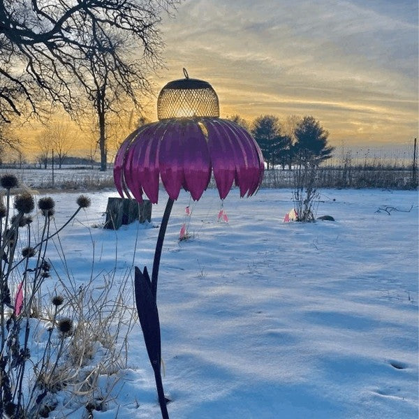 Bird Feeder with Metal Seed Dish and Outdoor Design