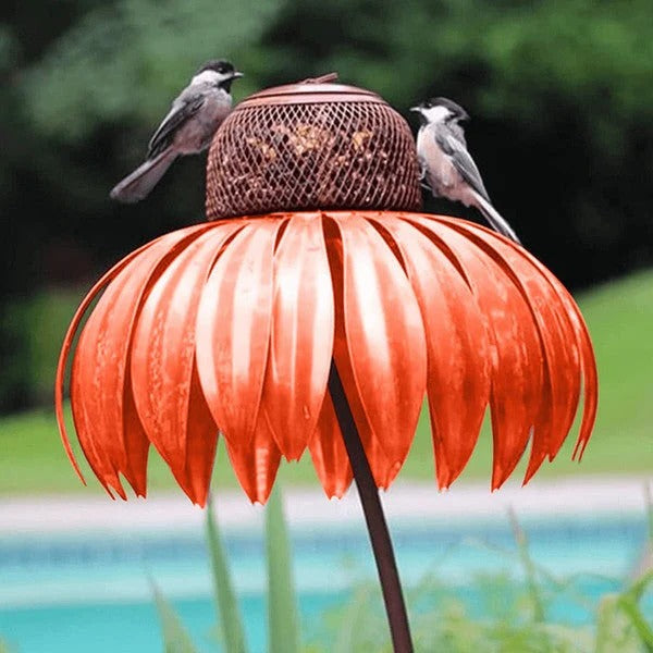 Bird Feeder with Metal Seed Dish and Outdoor Design