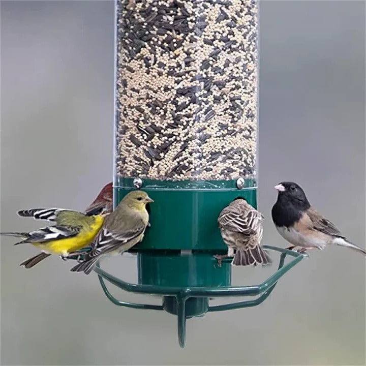Bird Feeder with Squirrel Guard and Easy Refilling