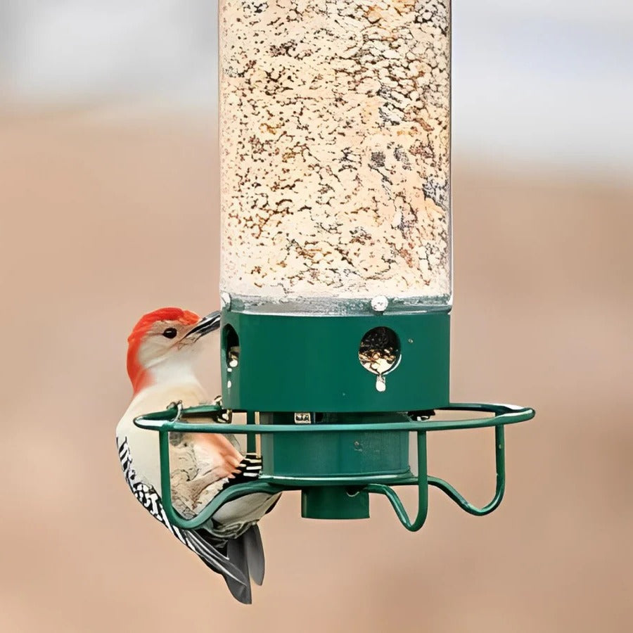 Bird Feeder with Squirrel Resistance and Durable Design