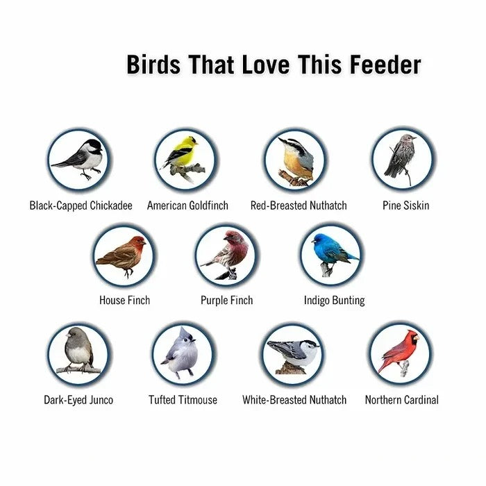 Bird Feeder with Weather Resistance and Squirrel Proof Design
