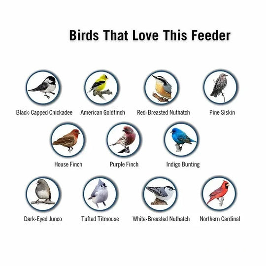Bird Feeder with Weather Resistance and Squirrel Proof Design