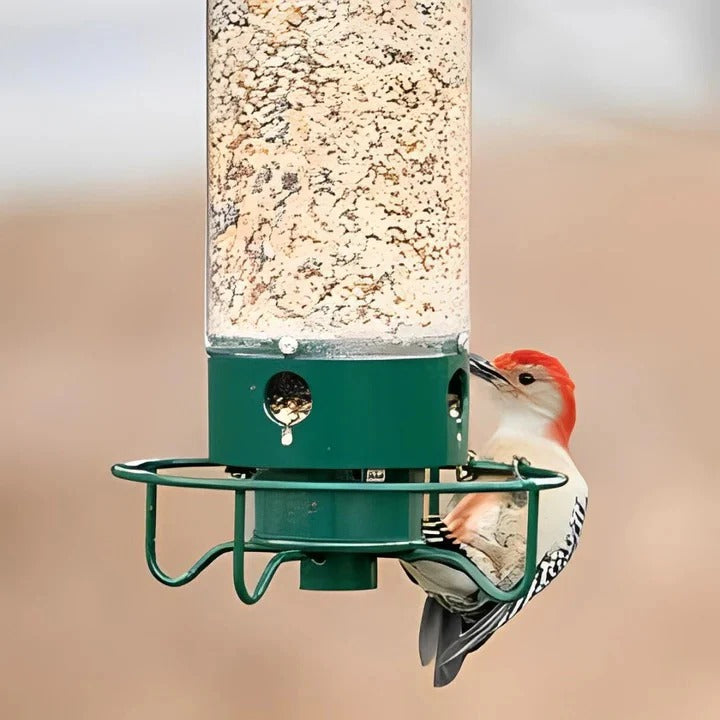 Bird Feeder with Weather Resistance and Squirrel Proof Design