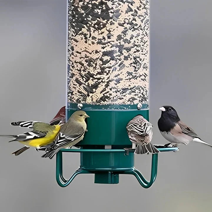 Bird Feeder with Weather Resistance and Squirrel Proof Design
