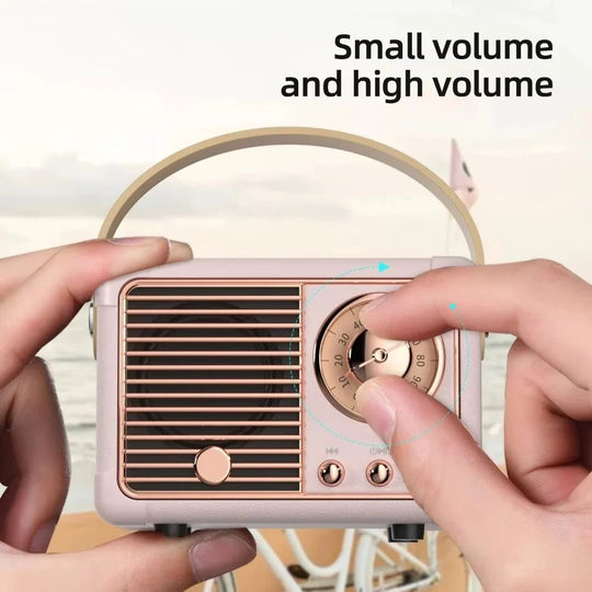 Bluetooth Speaker with Subwoofer and Wireless Connectivity