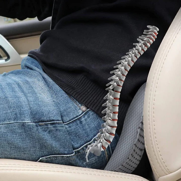 Car Seat Cushion with Memory Foam and Height Boost