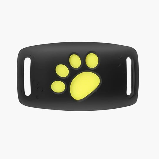 Cat Collar with GPS Tracking and Satellite Technology
