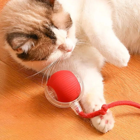 Cat Toy with Motorized Movement and Fiber Tail