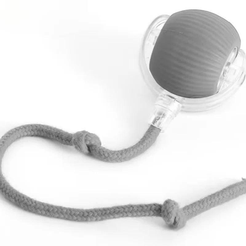 Cat Toy with Motorized Movement and Fiber Tail