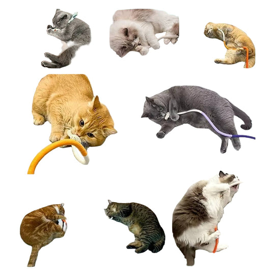 Cat Toys with Chewable Design and Engaging Textures