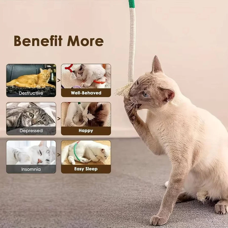 Cat Toys with Chewable Design and Engaging Textures