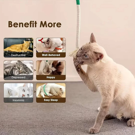 Cat Toys with Chewable Design and Engaging Textures