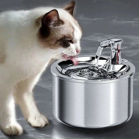 Cat Water Fountain with Stainless Steel and Filter