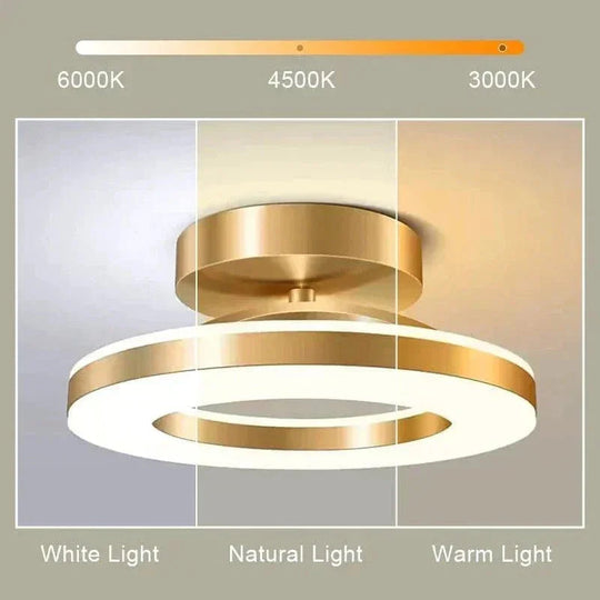 Ceiling Light Fixture with Adjustable Color Temperature and Flush Mount Design