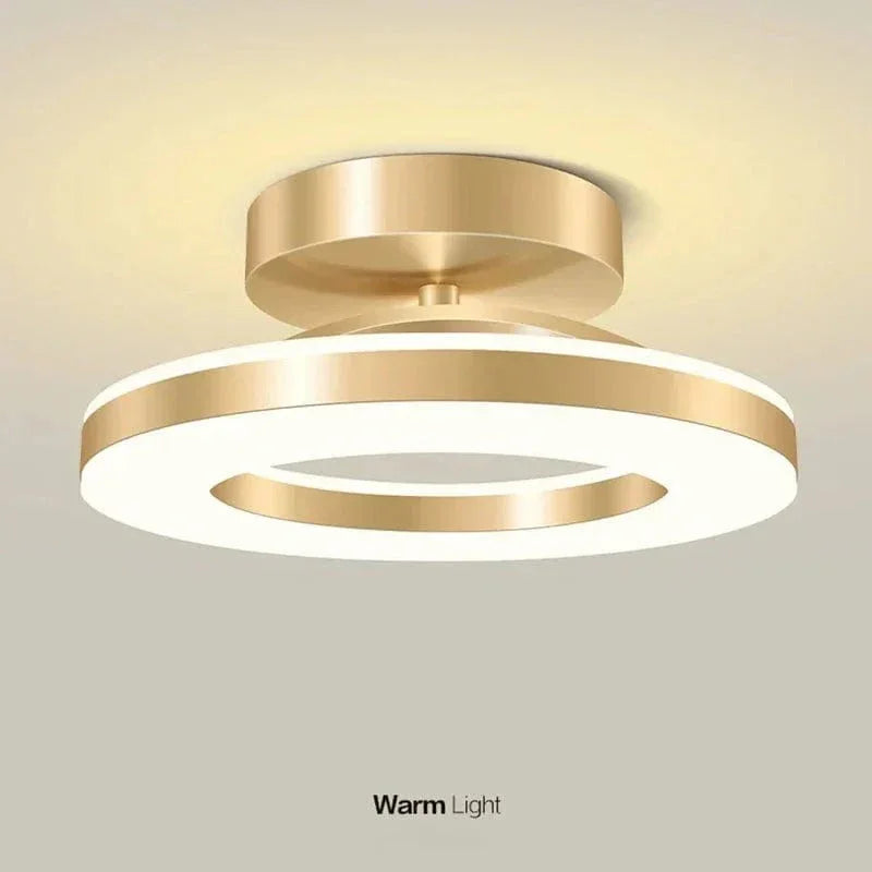 Ceiling Light Fixture with Adjustable Color Temperature and Flush Mount Design