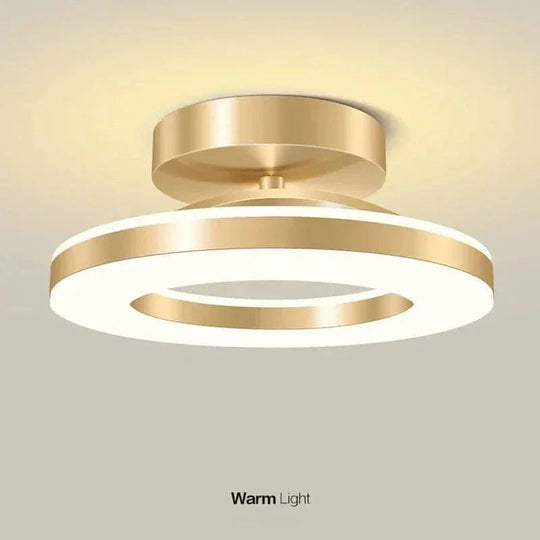 Ceiling Light Fixture with Adjustable Color Temperature and Flush Mount Design