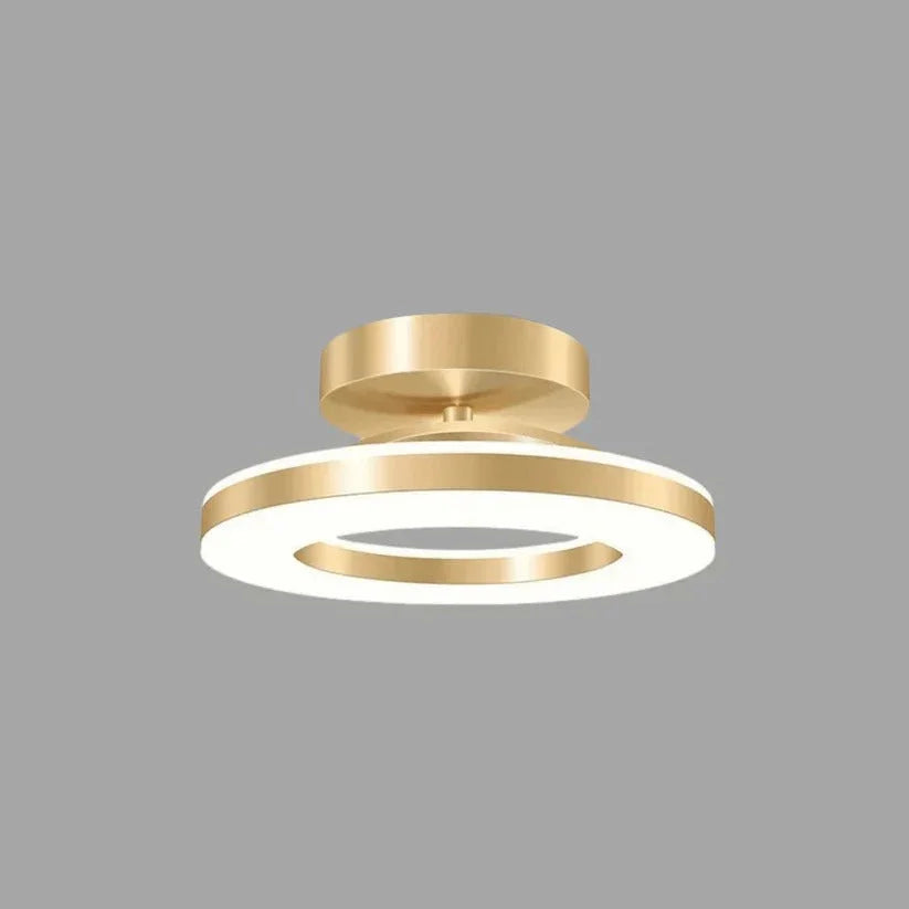 Ceiling Light Fixture with Adjustable Color Temperature and Flush Mount Design