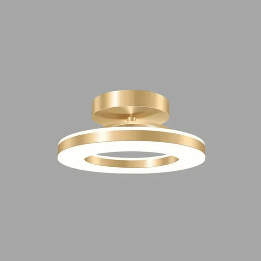 Ceiling Light Fixture with Adjustable Color Temperature and Flush Mount Design
