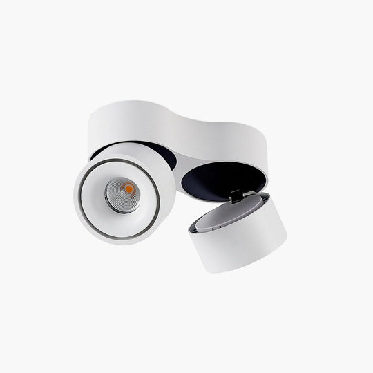 Ceiling Light Fixture with Adjustable Spotlights and LED Bulbs
