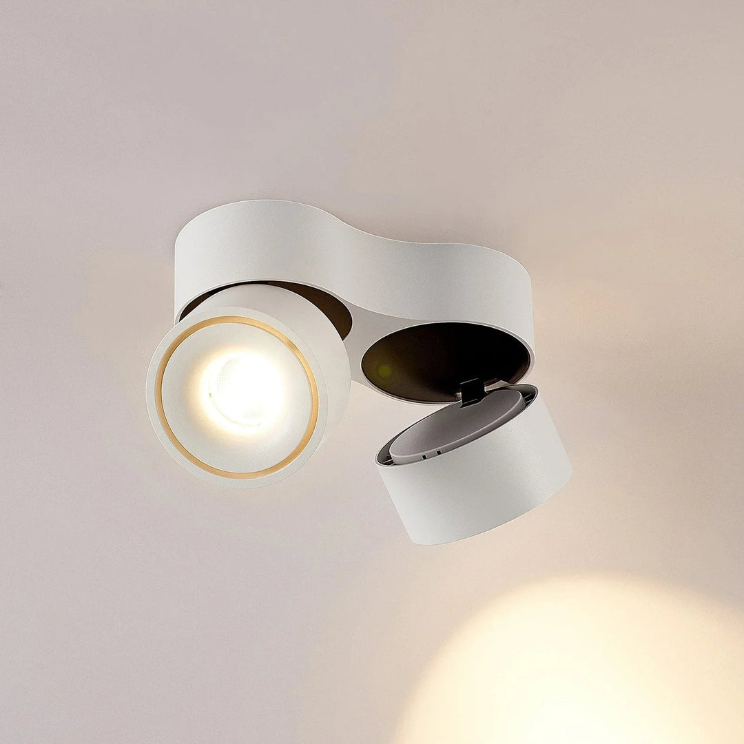 Ceiling Light Fixture with Adjustable Spotlights and LED Bulbs