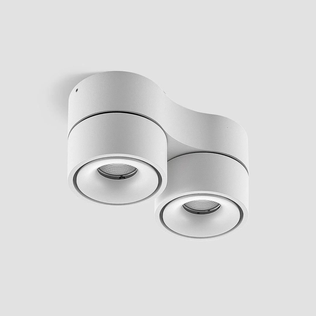 Ceiling Light Fixture with Adjustable Spotlights and LED Bulbs