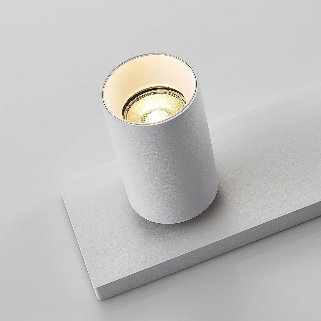Ceiling Light Fixture with Adjustable Spotlights and Modern Style