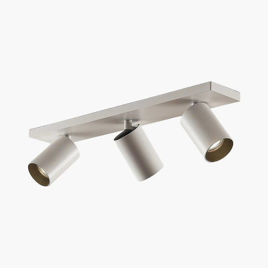 Ceiling Light Fixture with Adjustable Spotlights and Modern Style