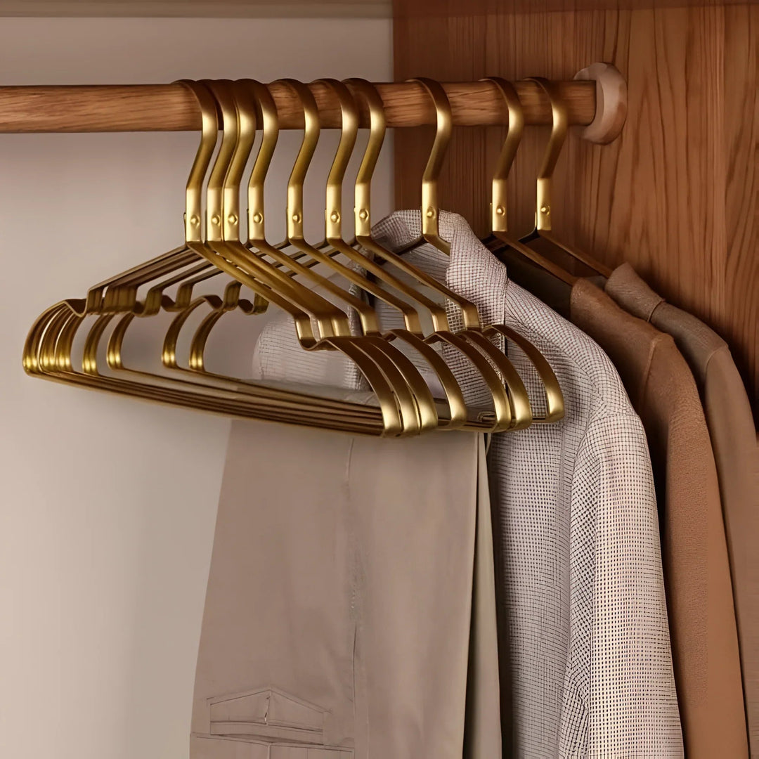 Clothes Hangers with Anti-Slip Velvet Coating and Metallic Finish
