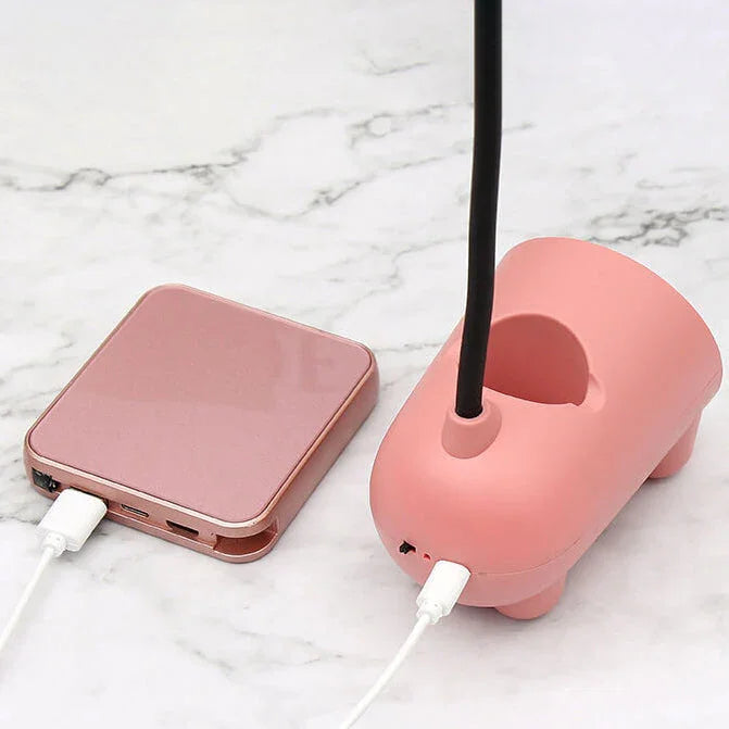 Desk Lamp with Rechargeable Battery and Fun Design