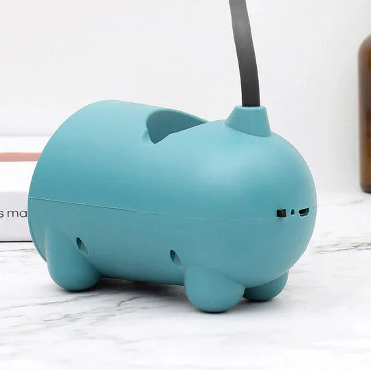 Desk Lamp with Rechargeable Battery and Fun Design