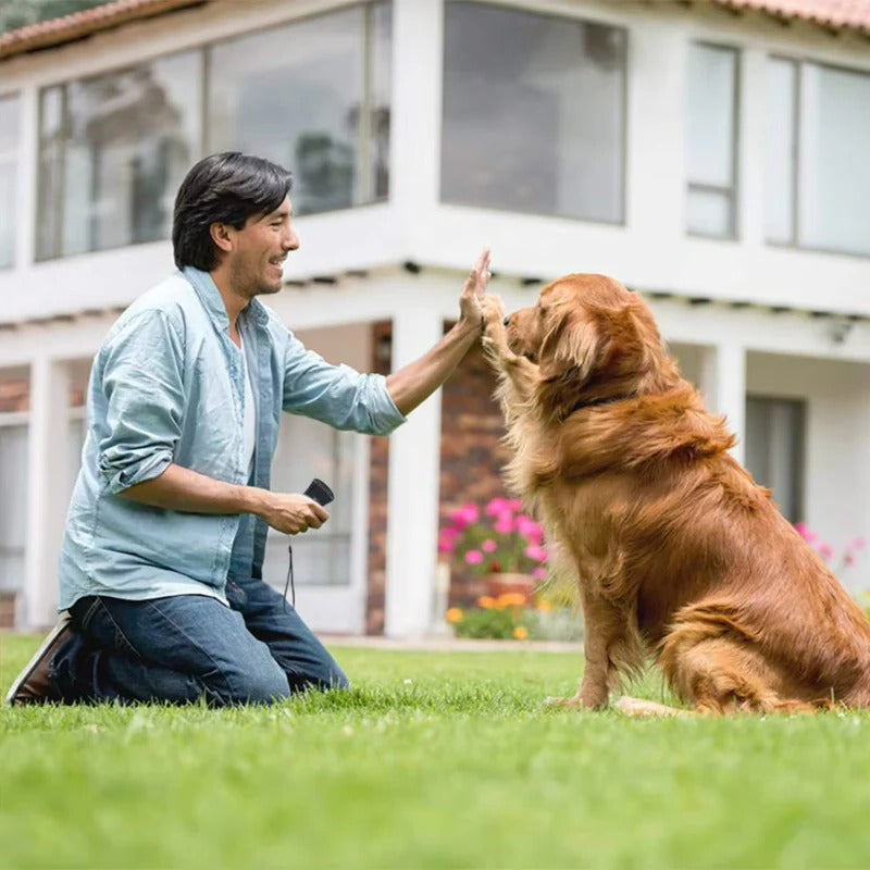 Dog Bark Control Device with Ultrasonic Sound and Humane Design
