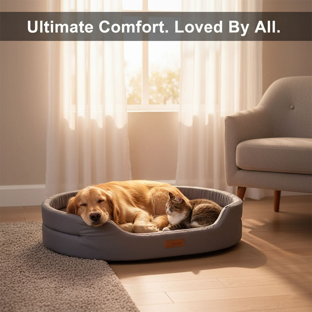 Dog Bed with Memory Foam and Washable Cover