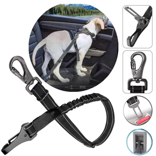 Dog Car Seat with Safety Harness and Adjustable Strap