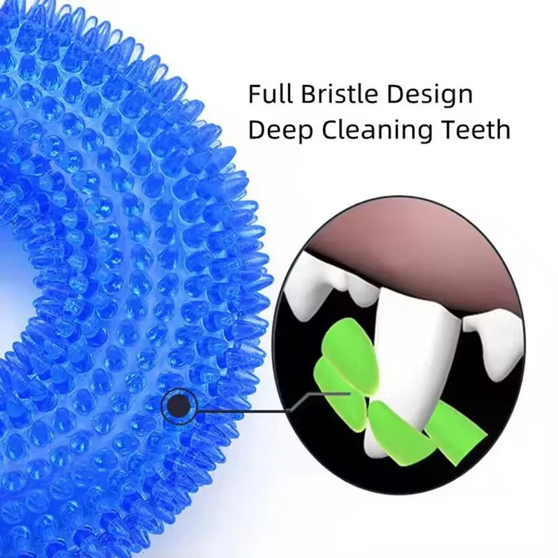 Dog Chew Toy with Squeaker and Durable Rubber