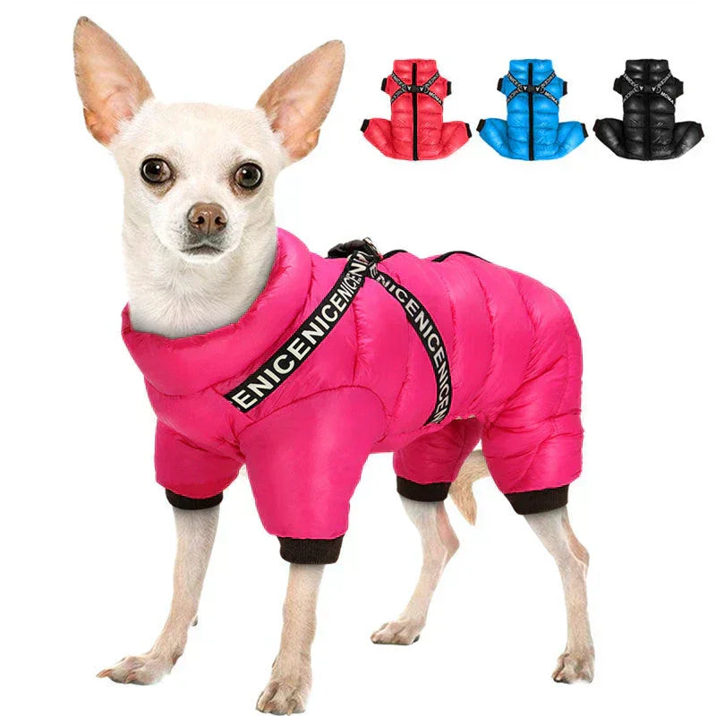 Dog Coat with Insulated Warmth and Cold Weather Protection