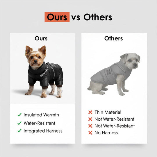 Dog Coat with Insulated Warmth and Cold Weather Protection