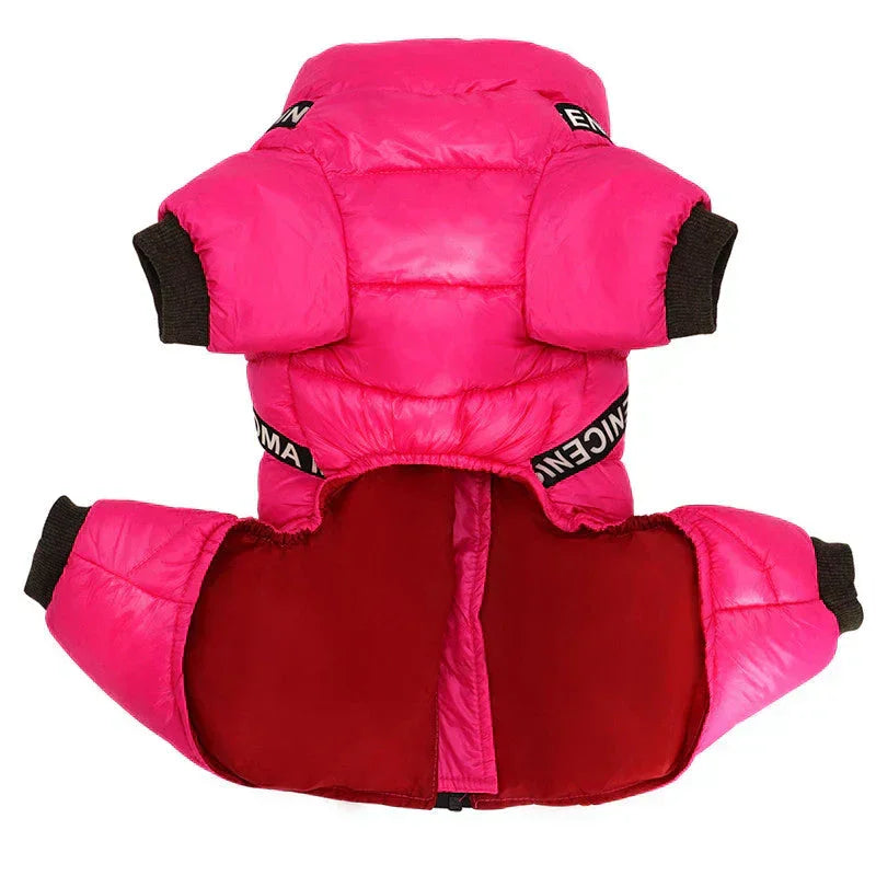 Dog Coat with Insulated Warmth and Cold Weather Protection
