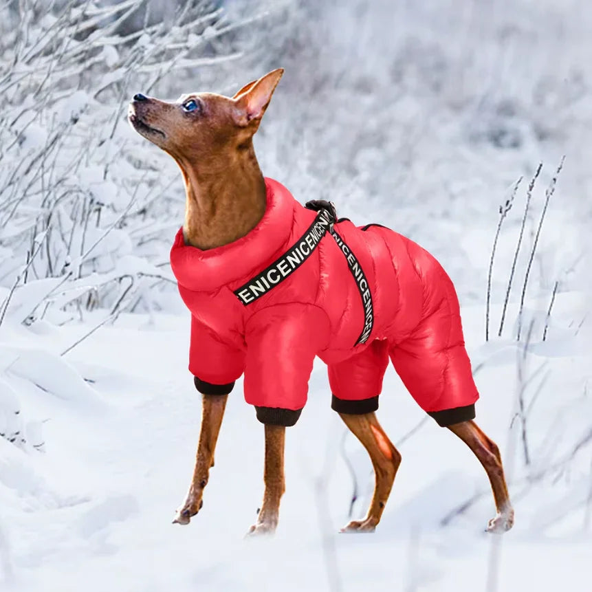 Dog Coat with Insulated Warmth and Cold Weather Protection