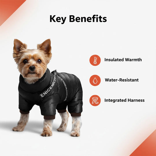 Dog Coat with Insulated Warmth and Cold Weather Protection