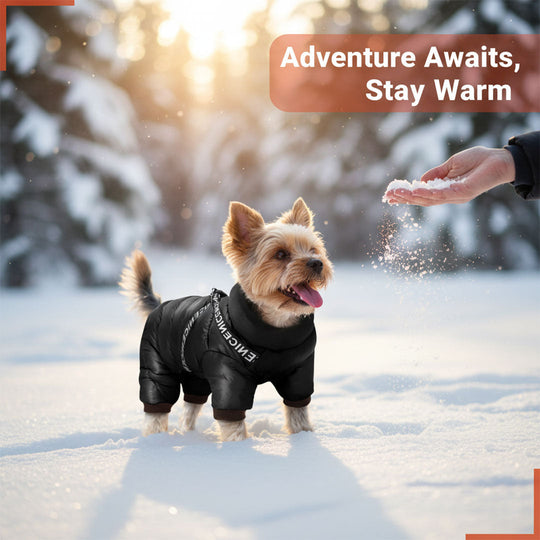 Dog Coat with Insulated Warmth and Cold Weather Protection