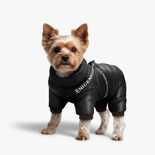 Dog Coat with Insulated Warmth and Cold Weather Protection