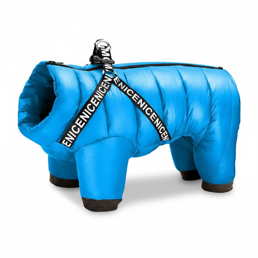 Dog Coat with Insulated Warmth and Cold Weather Protection