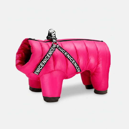Dog Coat with Insulated Warmth and Cold Weather Protection