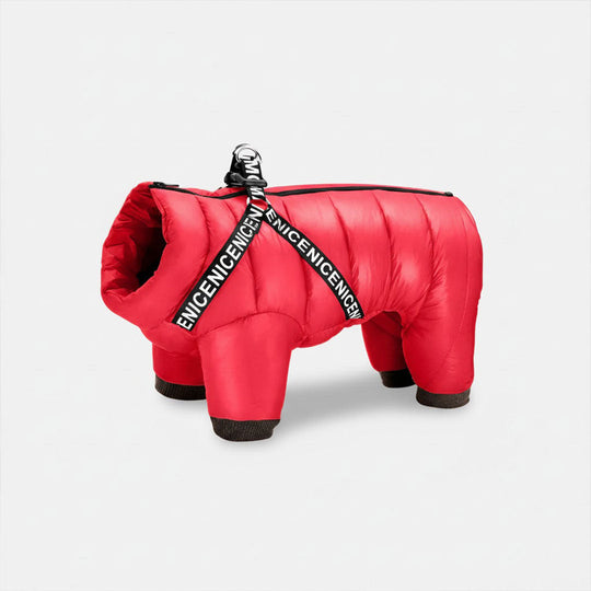 Dog Coat with Insulated Warmth and Cold Weather Protection